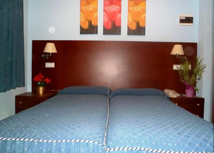 Auto Check In Nieves * Jaca