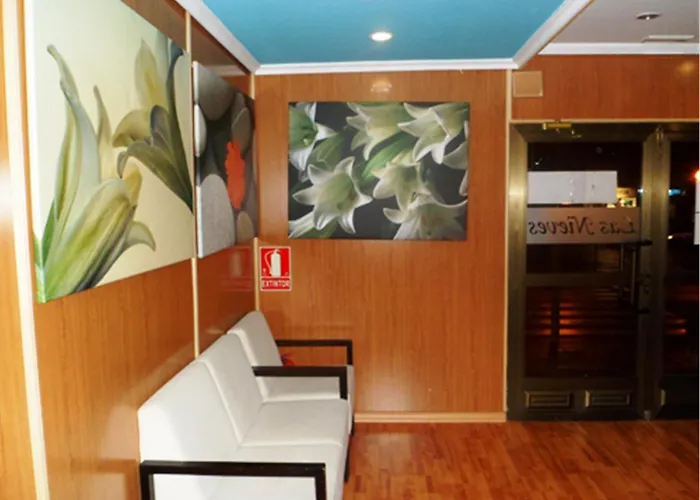 Auto Check In Nieves Hotel