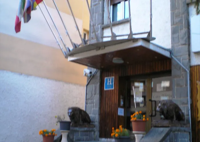 Auto Check In Nieves *