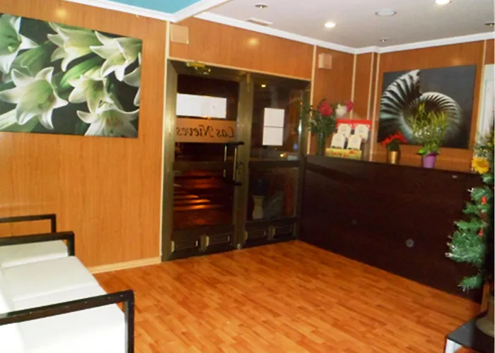 Auto Check In Nieves Hotel *